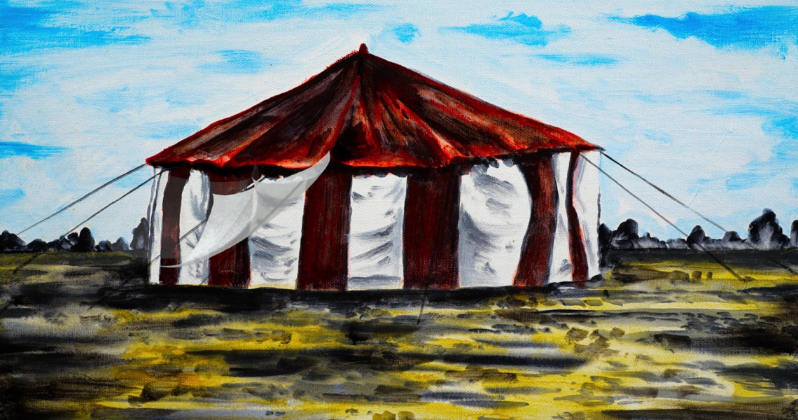 Shocking Dreams in the Circus