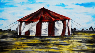 Shocking Dreams in the Circus